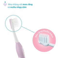 Bộ đôi bàn chải đánh răng Chicco 6-36M (Vàng - Tím hồng)