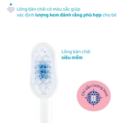 Bộ đôi bàn chải đánh răng Chicco 3-6Y (Hà mã - Gấu trúc)