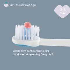 Bộ đôi bàn chải đánh răng Chicco 3-6Y (Hổ xanh - Gấu trúc)
