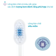 Bộ đôi bàn chải đánh răng Chicco 3-6Y (Hổ xanh - Gấu trúc)