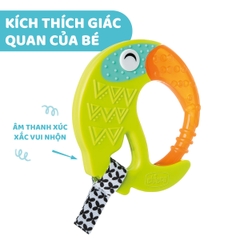 Cắn răng hình vẹt vui nhộn Chicco