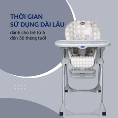 Ghế ăn Chicco Polly Easy Hươu cao cổ 4W