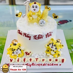 Bánh kem sinh nhật Thuận An Bình Dương 129