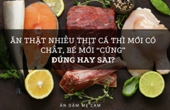 Ăn Thật Nhiều Thịt Cá Thì Mới Có Chất, Bé Mới “Cứng” Đúng Hay Sai?