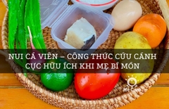 Nui Cá Viên – CÔNG THỨC CỨU CÁNH Cực Hữu Ích Khi Mẹ Bí Món