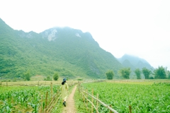 Thác Bản Giốc - Hồ Ba Bể 3 ngày 2 đêm (Mùng 2, 3, 4 Tết)