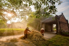 Đường Lâm - Chùa Mía - Sơn Tây - Khai Nguyên 1 ngày