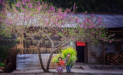 Hà Giang - Sông Nho Quế  - Khuổi Mi 3N4D - Tour xe máy 3 (1 khách tự đi 1 xe máy riêng)