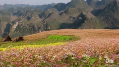 Hà Giang - Cột cờ Lũng Cú - Sông Nho Quế - Du Già 3N4D - Tour xe ô tô