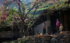 Hà Giang - Cột cờ Lũng Cú - Sông Nho Quế  - Khuổi Mi 3N4D