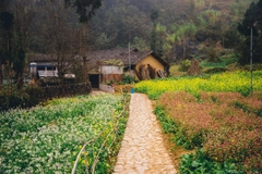 Hà Giang - sông Nho Quế 2 ngày 3 đêm (Mùng 2, 3, 4 Tết)