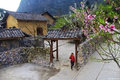 Hà Giang - sông Nho Quế 2 ngày 3 đêm (Mùng 2, 3, 4 Tết)