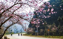 Hà Giang - sông Nho Quế 2 ngày 3 đêm (Mùng 2, 3, 4 Tết)