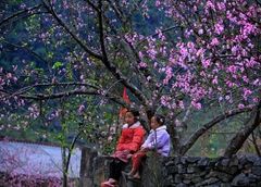 Hà Giang - sông Nho Quế 2 ngày 3 đêm (Mùng 2, 3, 4 Tết)