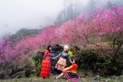 Hà Giang - Sông Nho Quế - Du Già 3N4D - Tour xe máy 3 (1 khách tự đi 1 xe máy riêng)