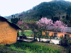 Hà Giang - sông Nho Quế 3 ngày 2 đêm (Mùng 2, 3, 4 Tết)