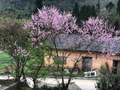 Hà Giang - sông Nho Quế 3 ngày 2 đêm (Mùng 2, 3, 4 Tết)