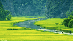 Hoa Lư - Tam Cốc - Hang Múa - Bái Đính - Tràng An 2N1D