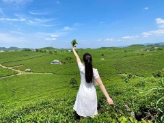 Mộc Châu - Cầu Kính Bạch Long 2 ngày 1 đêm (Khách sạn Mường Thanh)