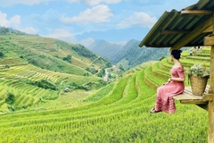 MÙ CANG CHẢI - ĐÈO KHAU PHẠ - TÚ LỆ - TRẠM TẤU (3 ngày 2 đêm-  homestay)