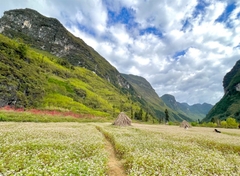 Hà Giang - Sông Nho Quế - Du Già 3N4D - Tour xe máy 3 (1 khách tự đi 1 xe máy riêng)
