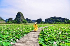 Tuyệt Tình Cốc - Tràng An - Hang Múa 1 ngày