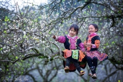 Mai Châu - Mộc Châu - Cầu Kính Bạch Long 2N1D (Homestay)