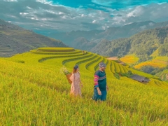 MÙ CANG CHẢI - ĐÈO KHAU PHẠ - TÚ LỆ - TRẠM TẤU (3 ngày 2 đêm khách sạn)