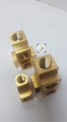 T Thau, Thập Thau, co Thau : Ren trong 13