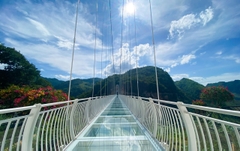 [ MAI - MỘC - TÀ XÙA ] Mộc Châu - Cầu Kính Bạch Long 2N1D (Glenda Tower 4 sao)