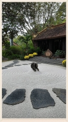 TAM CHUC PAGODA –  ĐIA TANG PHI LAI ONE DAY TOUR
