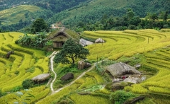 [ HÀ GIANG ] Hà Giang - Sông Nho Quế - Khuổi Mi 3N4D - Tour xe máy 1 (2 khách tự đi 1 xe máy riêng)