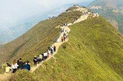 [ MAI - MỘC - TÀ XÙA ] Mộc Châu - Cầu Kính Bạch Long - Tà Xùa 2N1D (ks 2sao)