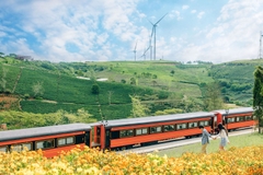 TOUR 1  - TOUR SĂN MÂY ĐÓN BÌNH MINH ĐÀ LẠT