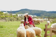 TOUR 1  - TOUR SĂN MÂY ĐÓN BÌNH MINH ĐÀ LẠT