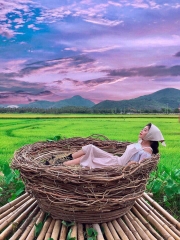 TOUR 4 NGÀY 3 ĐÊM - KHÁM PHÁ TP BIỂN NHA TRANG ( ƯU ĐÃI GIẢM NGAY 20% ).