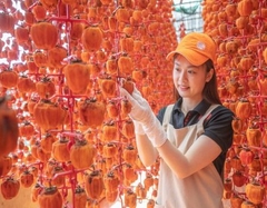 TOUR 1  - TOUR SĂN MÂY ĐÓN BÌNH MINH ĐÀ LẠT