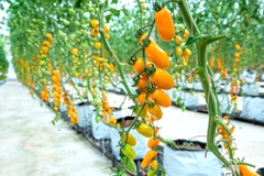 TOUR 4 - TOUR THAM QUAN SỞ THÚ ZOODOO ĐÀ LẠT.