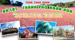 TOUR NHA TRANG – ĐÀ LẠT  KHÁM PHÁ THÀNH PHỐ NGÀN HOA
