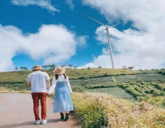 TOUR 1  - TOUR SĂN MÂY ĐÓN BÌNH MINH ĐÀ LẠT