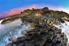 TOUR THAM QUAN NHA TRANG - PHÚ YÊN XỨ HOA VÀNG TRÊN CỎ XANH