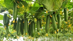 TOUR 4 - TOUR THAM QUAN SỞ THÚ ZOODOO ĐÀ LẠT.