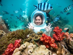 TOUR 4 NGÀY 3 ĐÊM - KHÁM PHÁ TP BIỂN NHA TRANG ( ƯU ĐÃI GIẢM NGAY 20% ).
