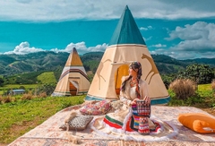 TOUR 7: THAM QUAN ĐỒI CỎ TUYẾT, CỎ HỒNG, DÃ QUỲ ĐÀ LẠT 2023
