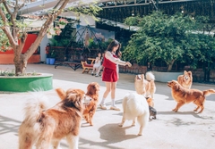 TOUR 4 - TOUR THAM QUAN SỞ THÚ ZOODOO ĐÀ LẠT.