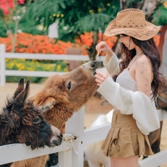TOUR 4 - TOUR THAM QUAN SỞ THÚ ZOODOO ĐÀ LẠT.