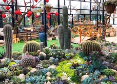 TOUR 4 - TOUR THAM QUAN SỞ THÚ ZOODOO ĐÀ LẠT.