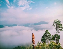 TOUR 1  - TOUR SĂN MÂY ĐÓN BÌNH MINH ĐÀ LẠT