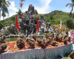 TOUR  ĐẢO KHỈ - SUỐI HOA LAN KHÁM PHÁ VỊNH NHA PHU