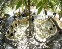 SUỐI KHOÁNG NÓNG I-RESORT NHA TRANG
